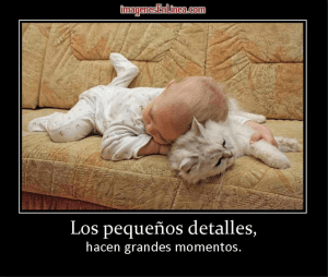 Captura de pantalla 2015-04-07 a les 18.12.08