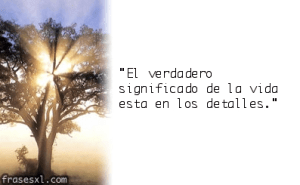 Captura de pantalla 2015-04-07 a les 18.42.14