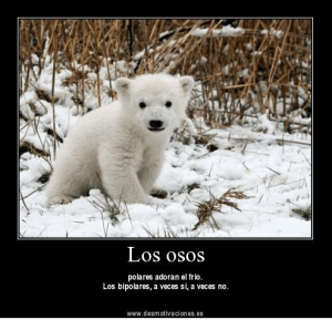 Captura de pantalla 2015-12-08 a les 10.59.26