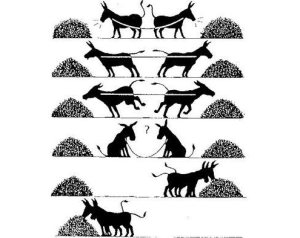 Coperar 2016-05-25 a les 10.54.56