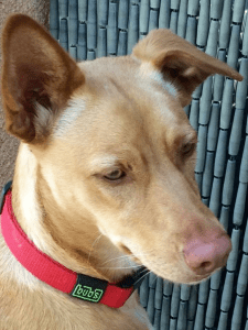 Ona 2016-05-28 a les 14.36.49